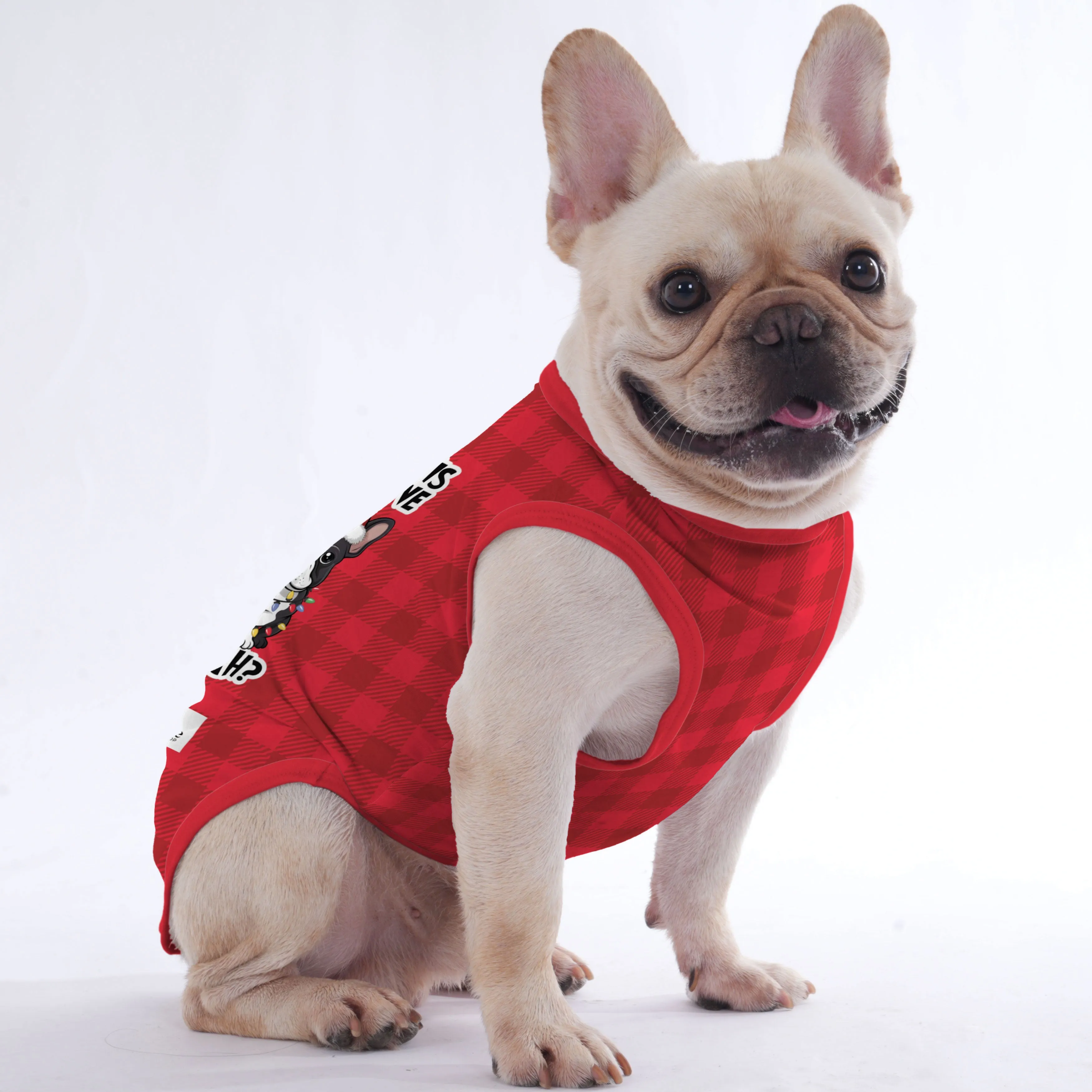 Socks  -  Shirt for Frenchies - Frenchie Shop Original